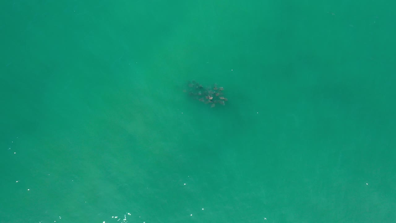 Teal ocean surface with a small dark submerged patch near the upper right.