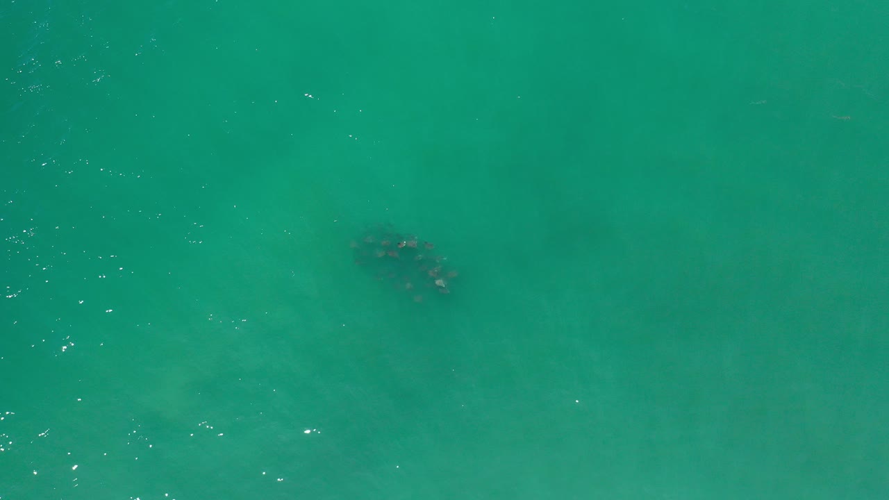 Top-down view of turquoise water in Los Cabos with a small dark underwater patch near the upper left and no visible people.