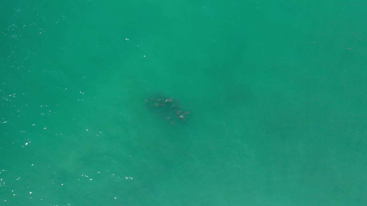 Green turquoise water fills the frame in Los Cabos, with faint ripples and a darker area near the upper center, no visible people.