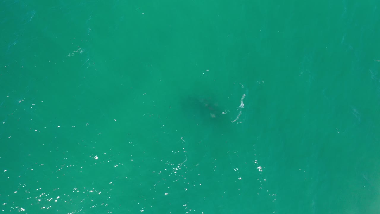 Top-down view of green-blue sea water in Los Cabos, Mexico, with small sun flecks and faint submerged dark patches, no visible people.