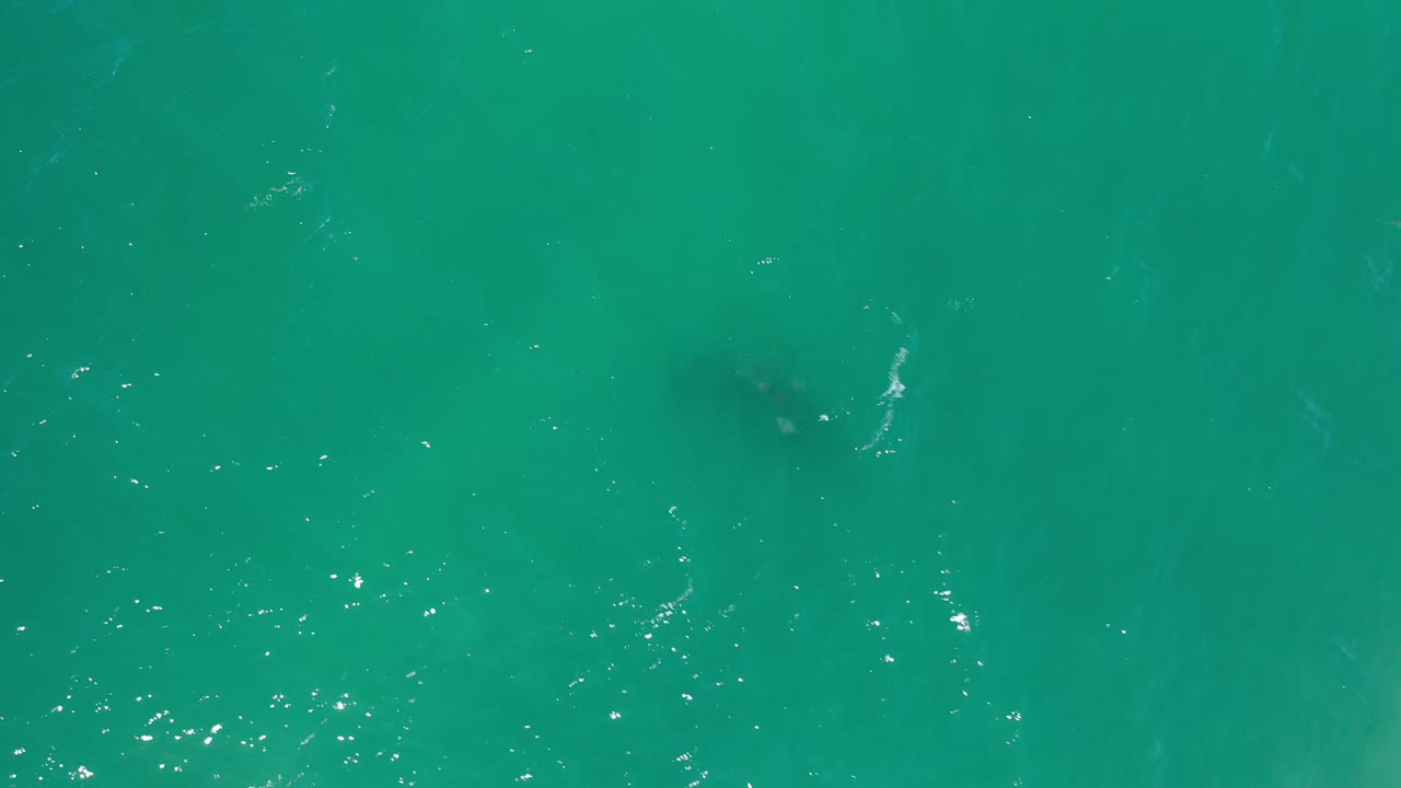 Aerial frame of Los Cabos green sea water with a darker underwater area near the left side and bright surface specks, no visible people.