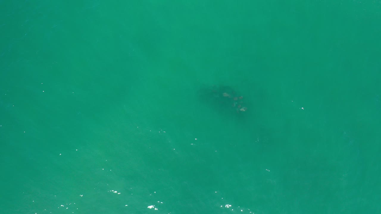 Overhead view in Los Cabos, Mexico, showing a small dark school of fish beneath green water with faint sun glints and no visible people.