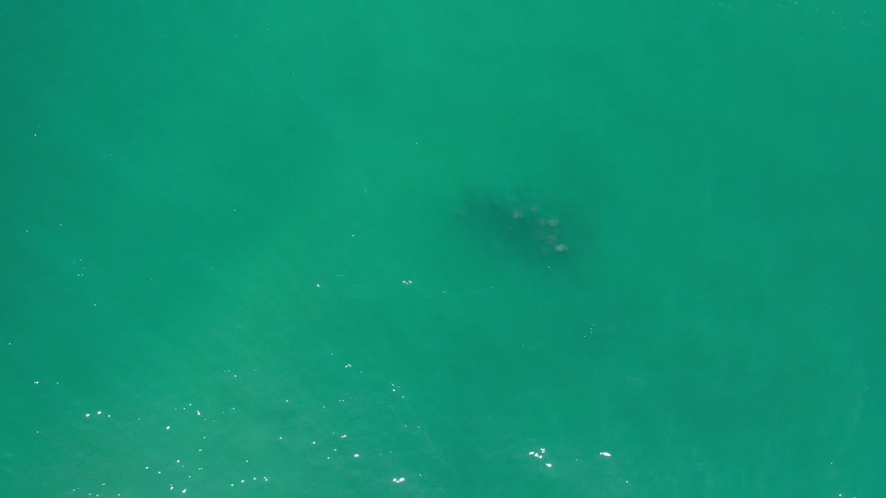 Overhead aquamarine water with a darker fish cluster near the upper middle.