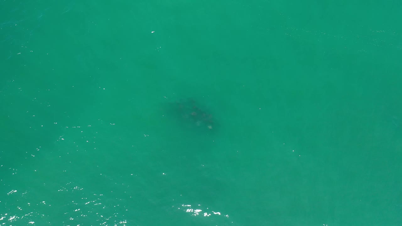 Overhead Los Cabos ocean frame with blue-green water, faint ripples, a darker submerged area near the top edge, and no visible people.