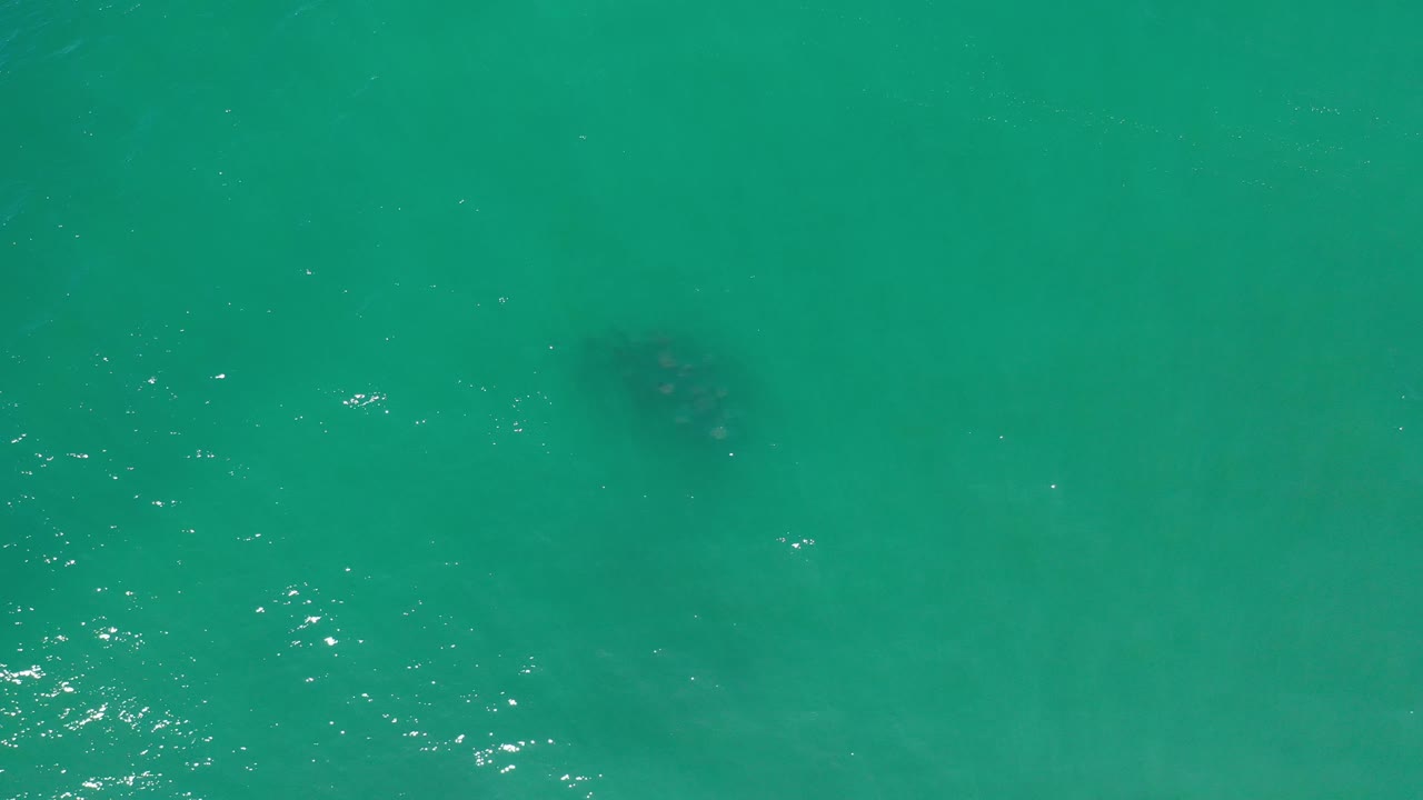 Turquoise water surface with bright reflection marks and soft dark shapes below.