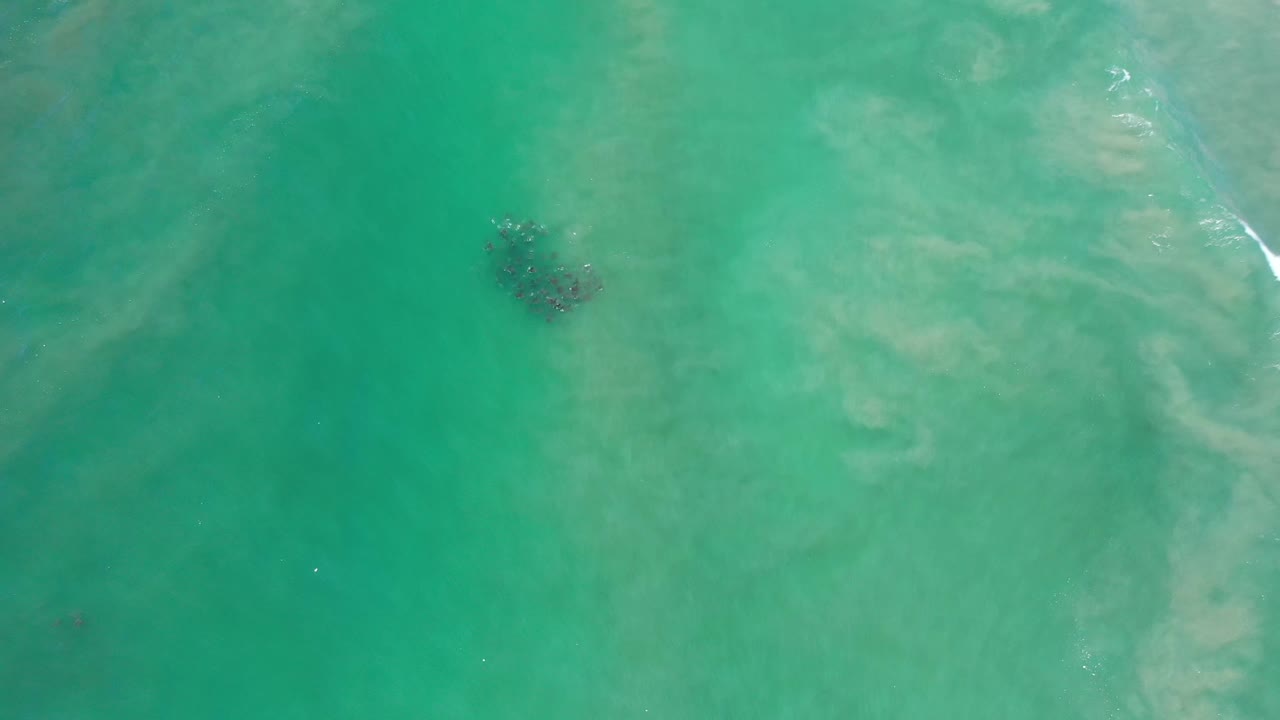 High overhead view of Los Cabos ocean water, with the dark submerged patch slightly left of center, faint white surf at the upper right, and no visible people.
