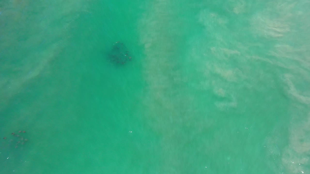 Overhead view of blue-green ocean water in Los Cabos, Mexico, with a small dark fish group near the upper left and no visible people.