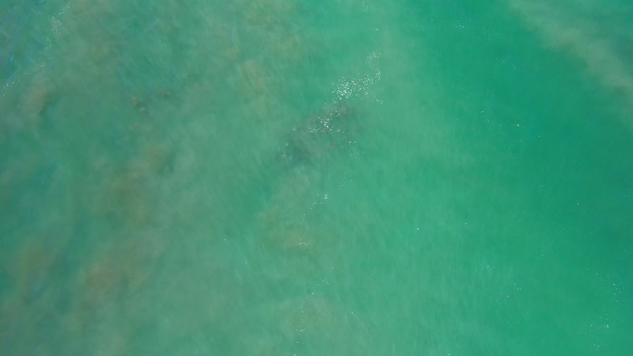 Top-down view of green water in Los Cabos, Mexico, with faint darker underwater shapes and small surface sparkles, no visible people.