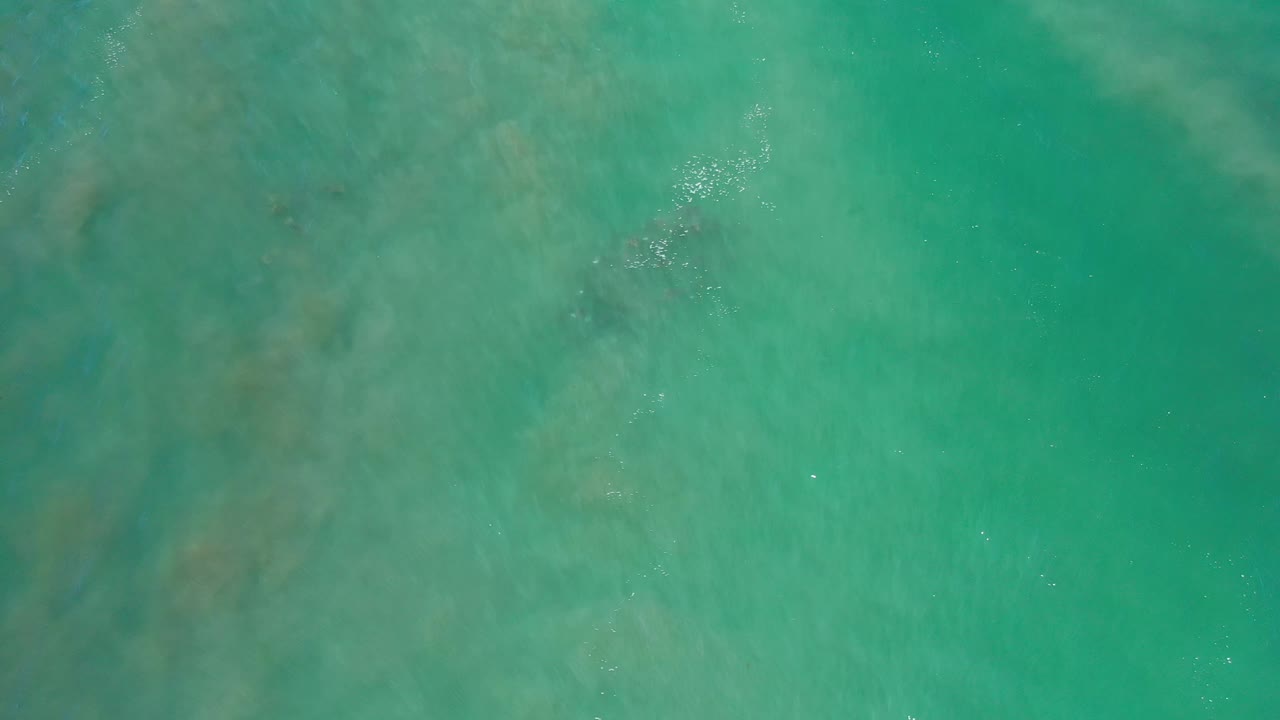 Overhead Los Cabos water frame with muted darker patches under the turquoise surface and a small cluster of bright ripples, no visible people.