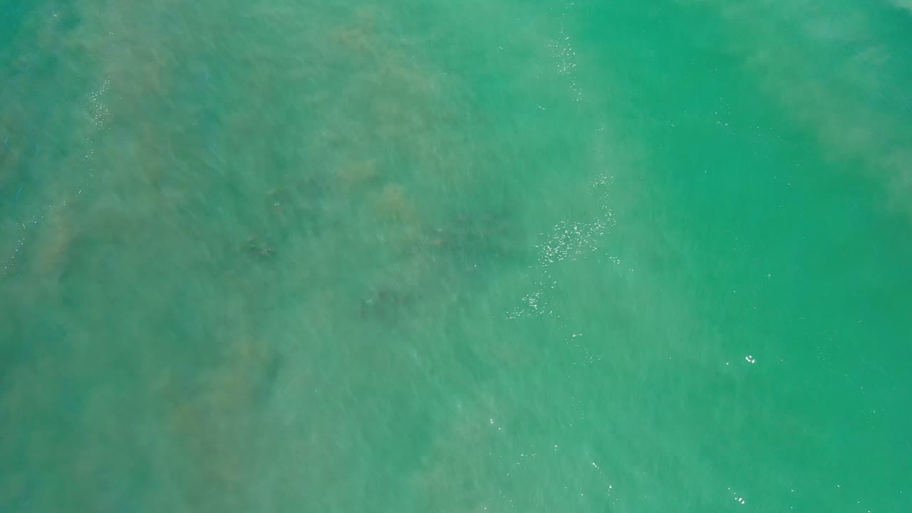 Overhead turquoise ocean water with darker submerged patches.