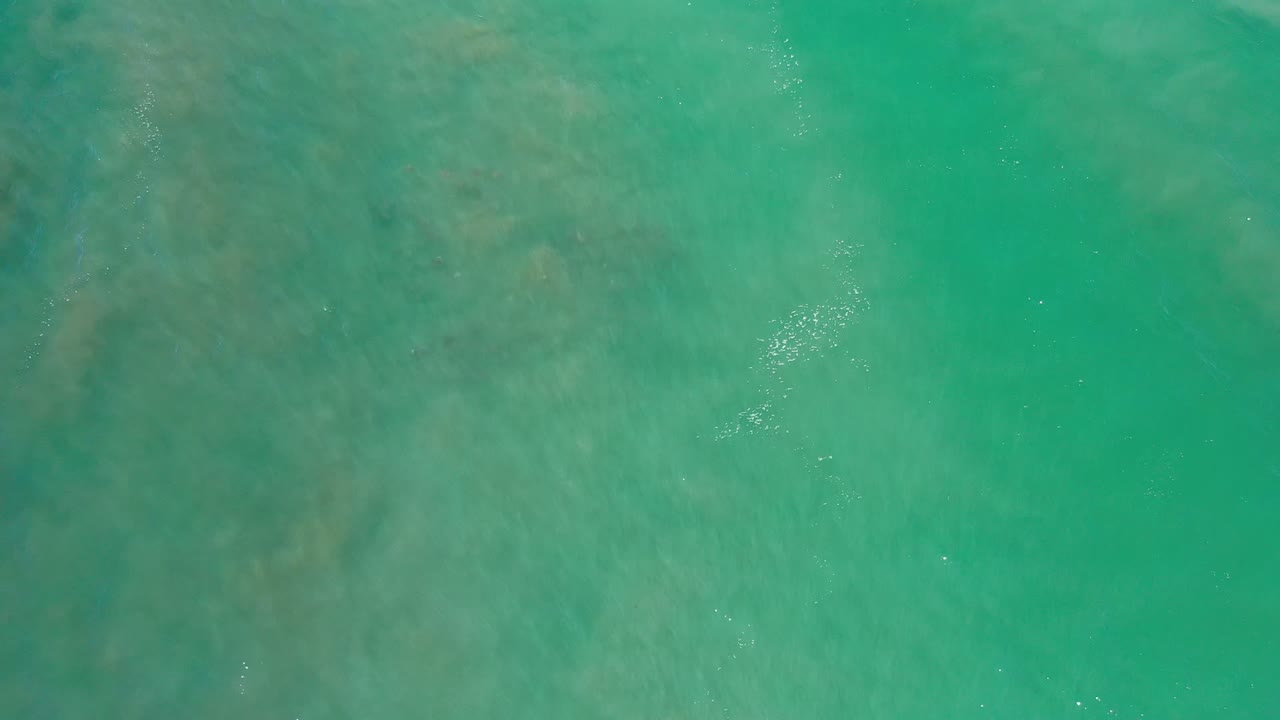 Top-down view of green ocean water in Los Cabos, Mexico, with subtle darker patches below the surface and no visible people.
