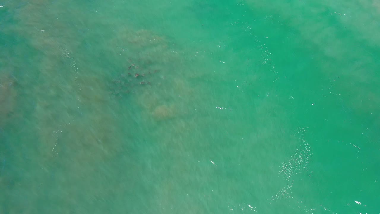 Overhead view of sea-green shallow ocean water in Los Cabos, Mexico, with faint submerged darker areas and no visible people.