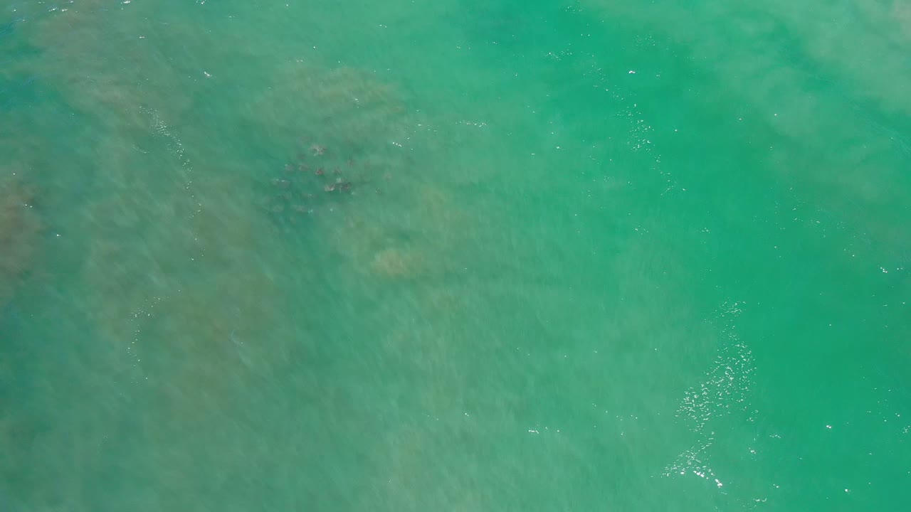 Sea-green Los Cabos ocean water fills the frame, with soft ripples, darker submerged patches near the upper area, and no visible people.