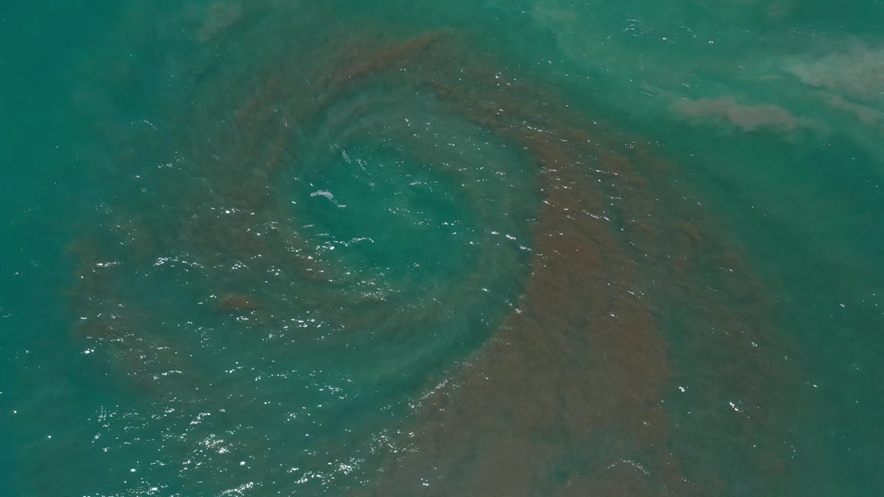 Top-down green water with ripples and a curved brown underwater shape.