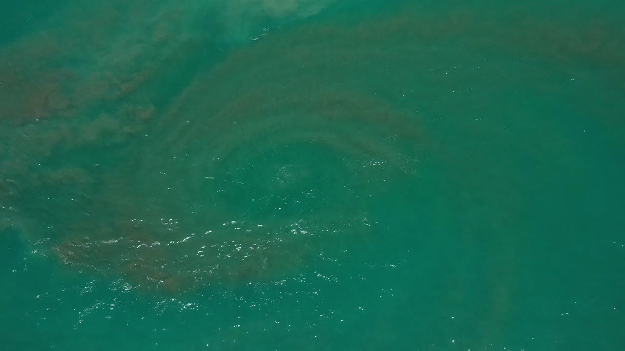 Green-blue ocean surface with ripples and faint darker forms below.