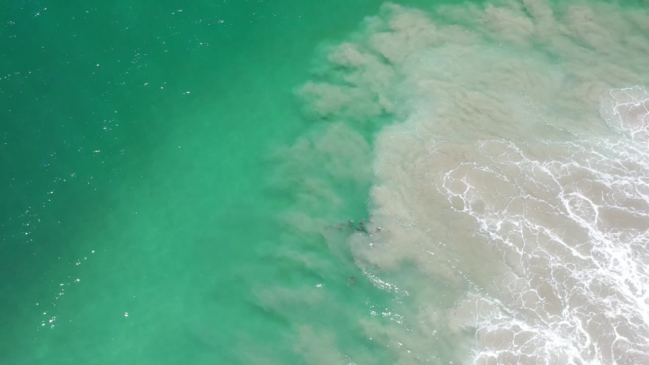 Top-down Los Cabos ocean frame with open green water on the left, white foam on the right, faint dark wildlife shapes near the sandy edge, and no visible people.