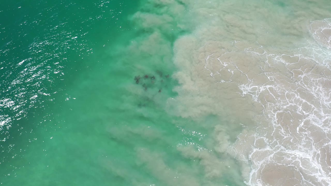 Aerial Los Cabos shoreline frame with clear green-blue water on the left, cloudy sand plume through the center, and foamy pale surf on the right, with no visible people.