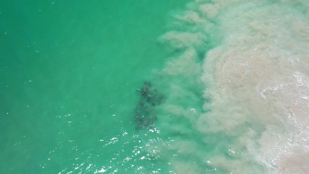 Overhead view in Los Cabos, Mexico, showing a dark school of fish in turquoise water near pale surf wash, with no visible people.