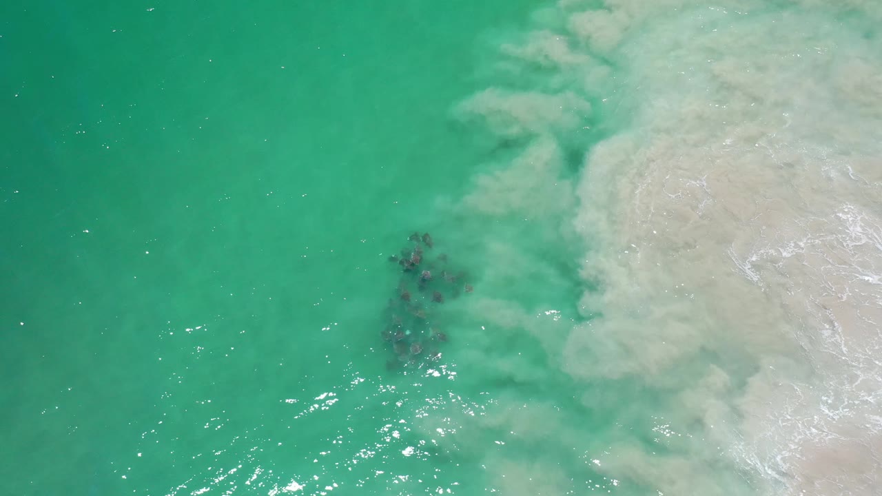 Overhead Los Cabos frame with the fish school slightly right of center near a broad patch of white sandy wave wash, no visible people.