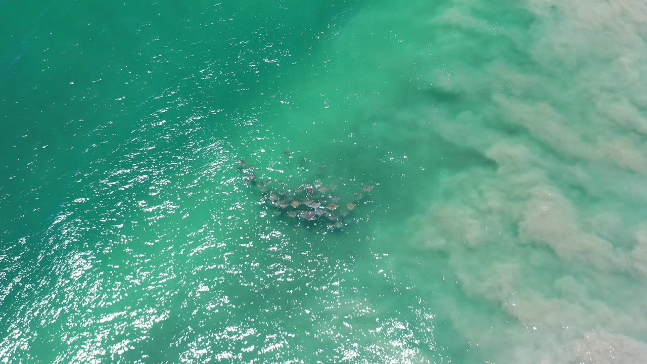 Overhead green sea with a small dark cluster near pale cloudy water