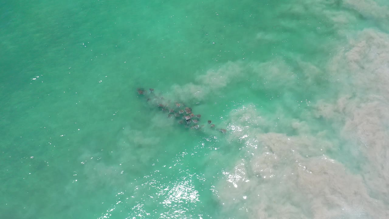 Turquoise ocean water with pale surf and a dark underwater line.