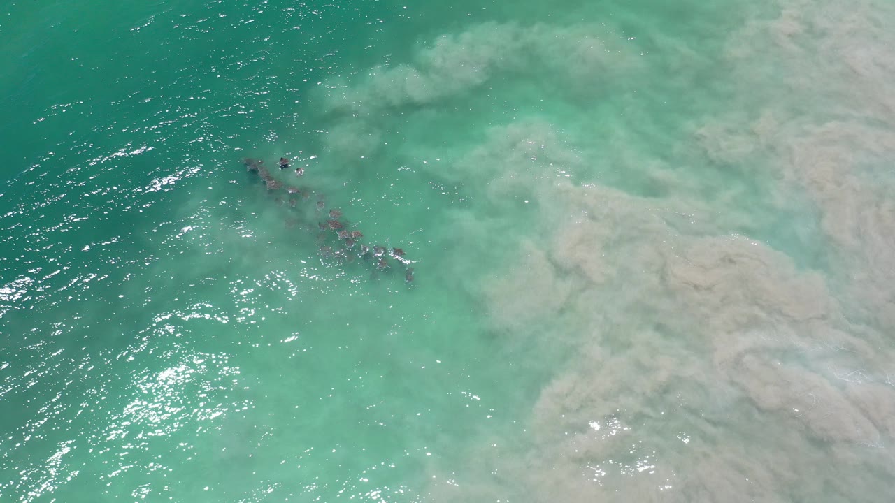 Overhead turquoise water with a dark drifting mass and pale cloudy plume.