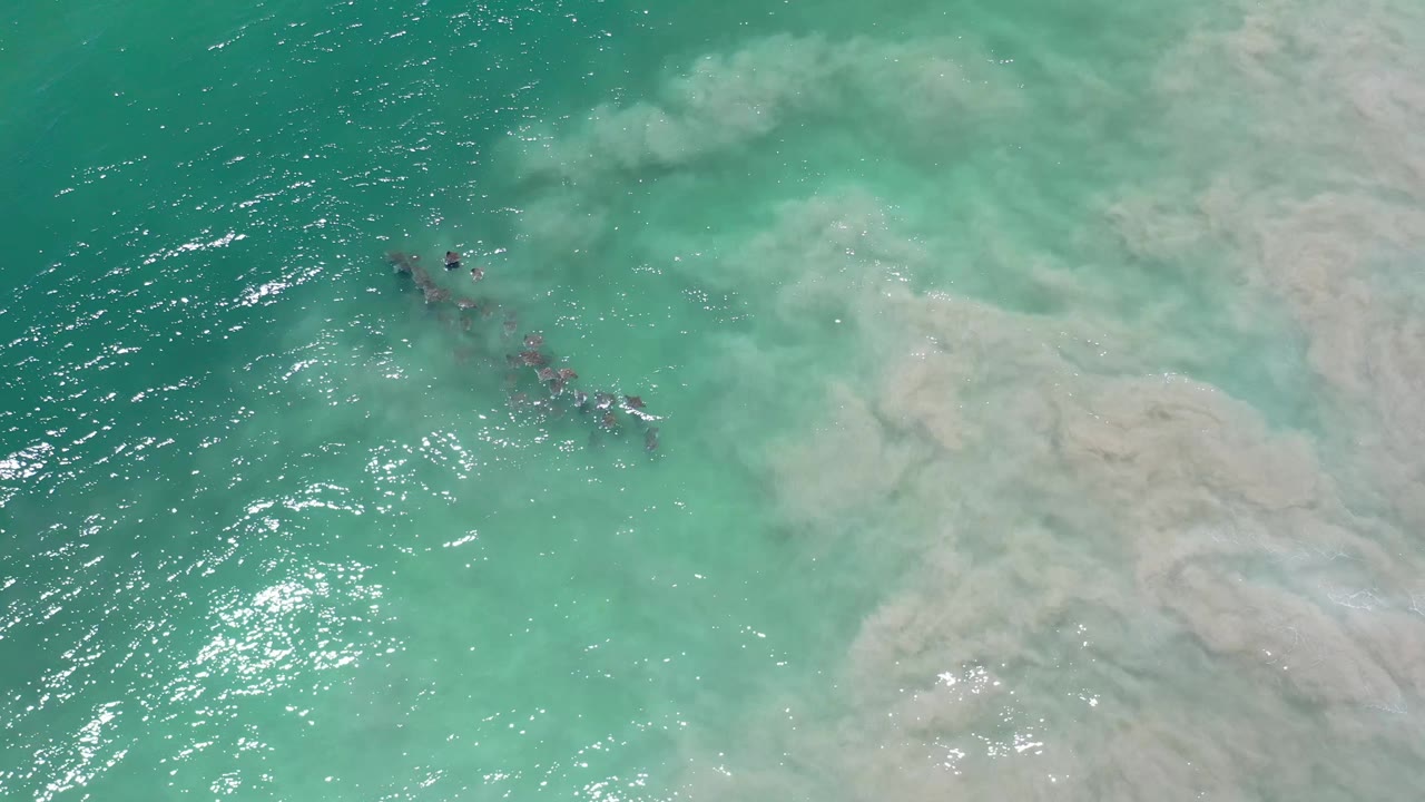 Aerial Los Cabos frame with the dark drifting material slightly lower in the turquoise sea, pale milky clouding across the right half, bright water reflections, and no visible people.
