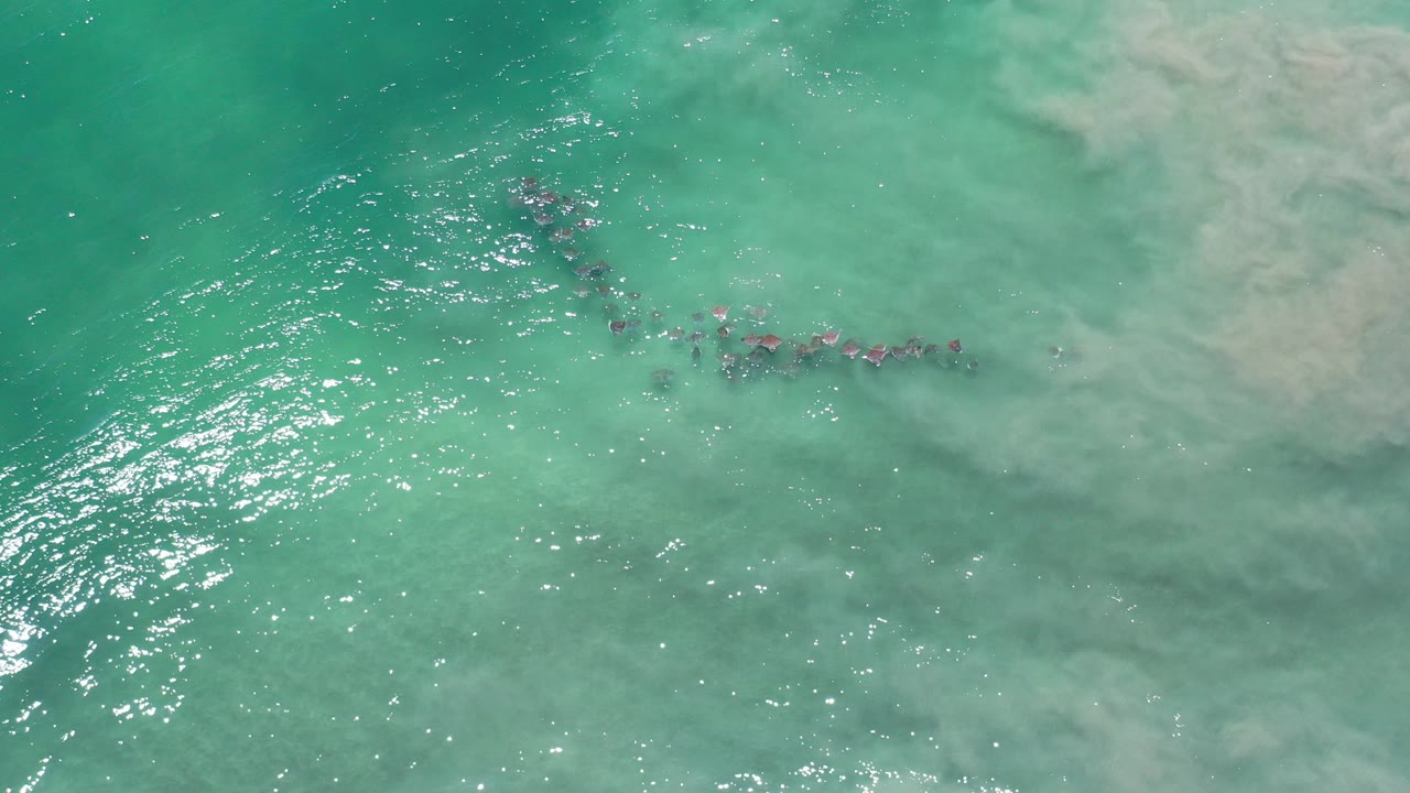 Top-down view in Los Cabos, Mexico, showing turquoise water, sun sparkle, and a small group of people partly obscured by a pale wave at the start of the clip.