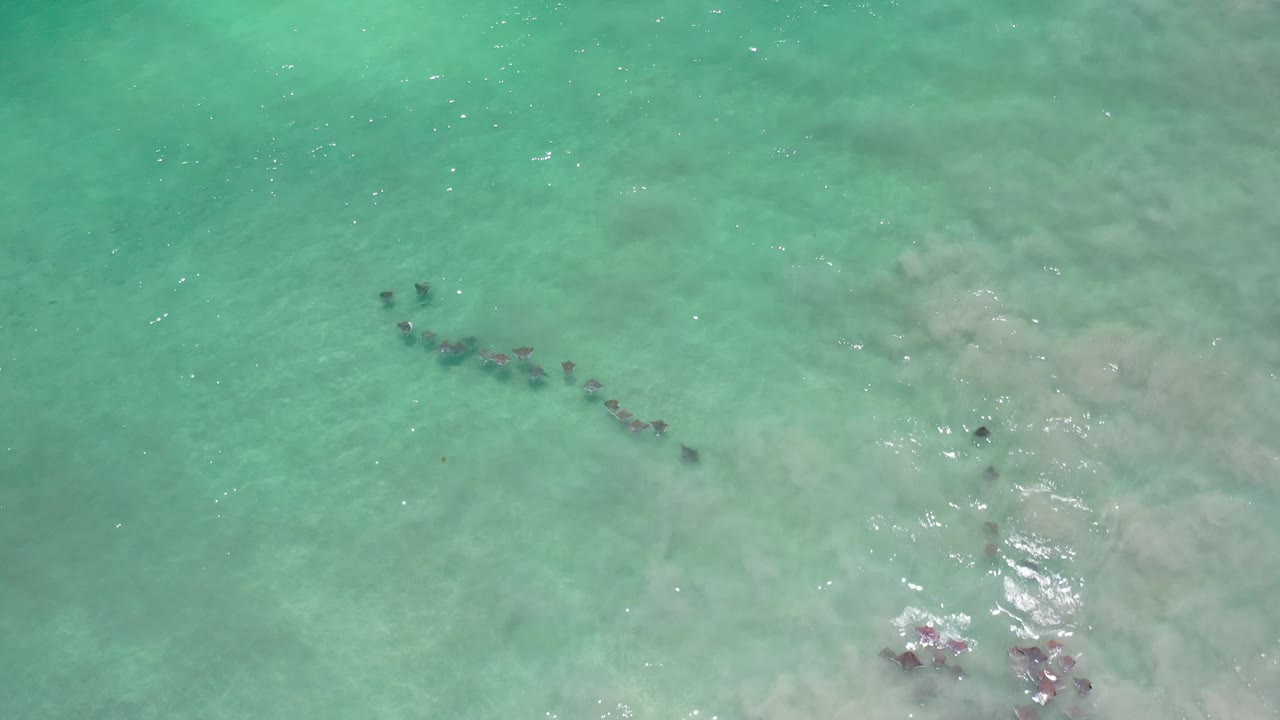 Aerial Los Cabos frame showing the fish school slightly farther across turquoise-green water, with muted bottom texture and small sun sparkles, no visible people.