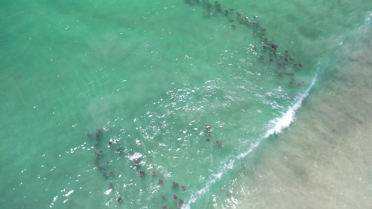 Fish line and white wave in shallow sea