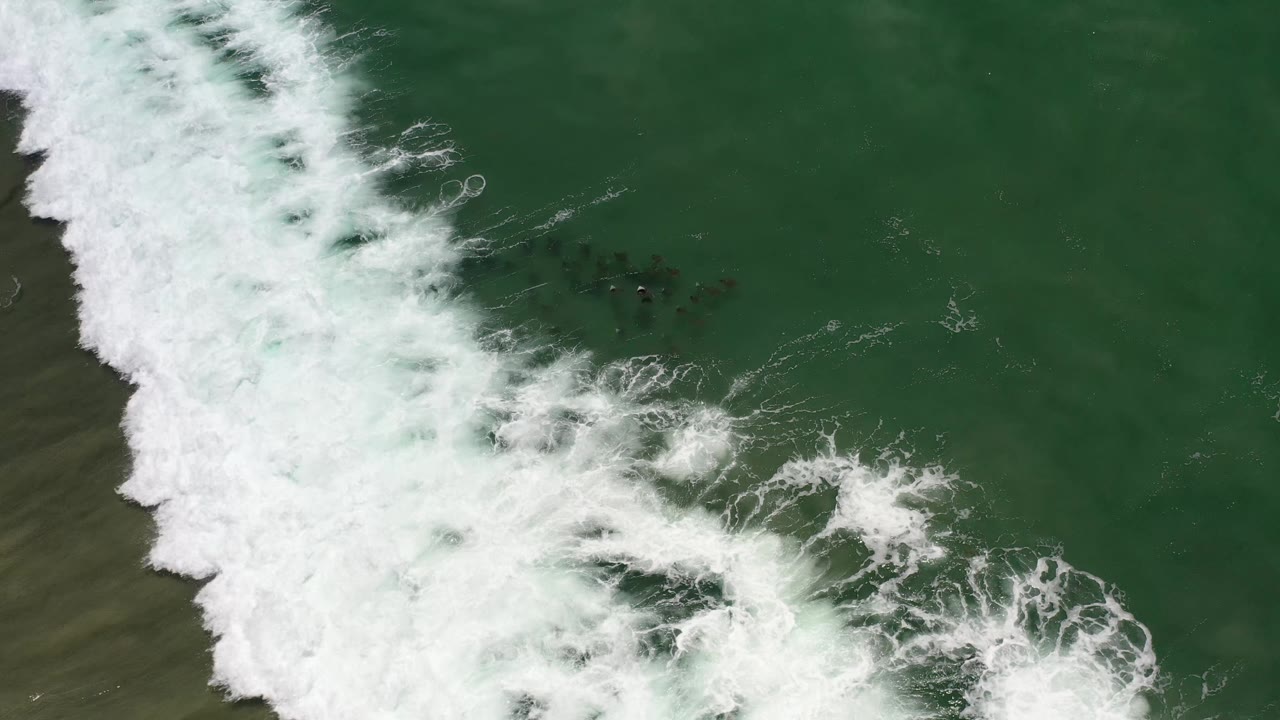 Aerial Los Cabos ocean frame with a broad white wave line at left and scattered dark shapes visible under the green surface to the right, no visible people.