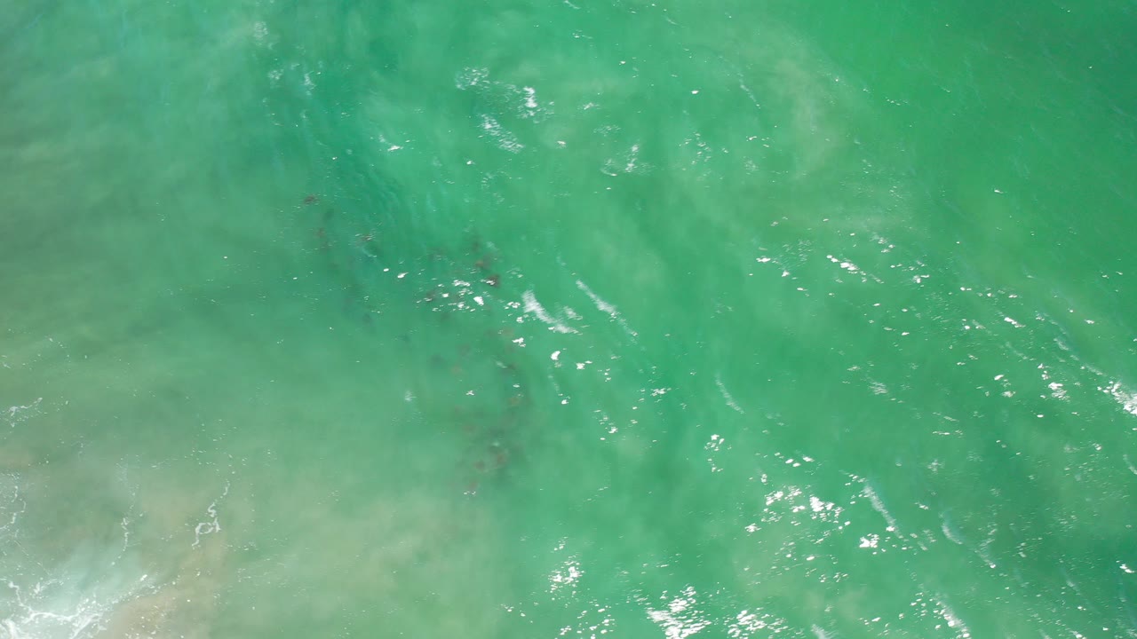 Aquamarine ocean surface with small dark fish clusters below.