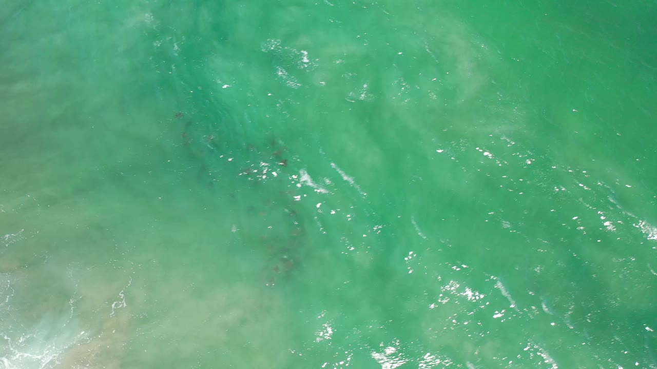 Aerial frame over Los Cabos water showing a small fish school under green-blue ripples, with brighter reflective patches and no visible people.