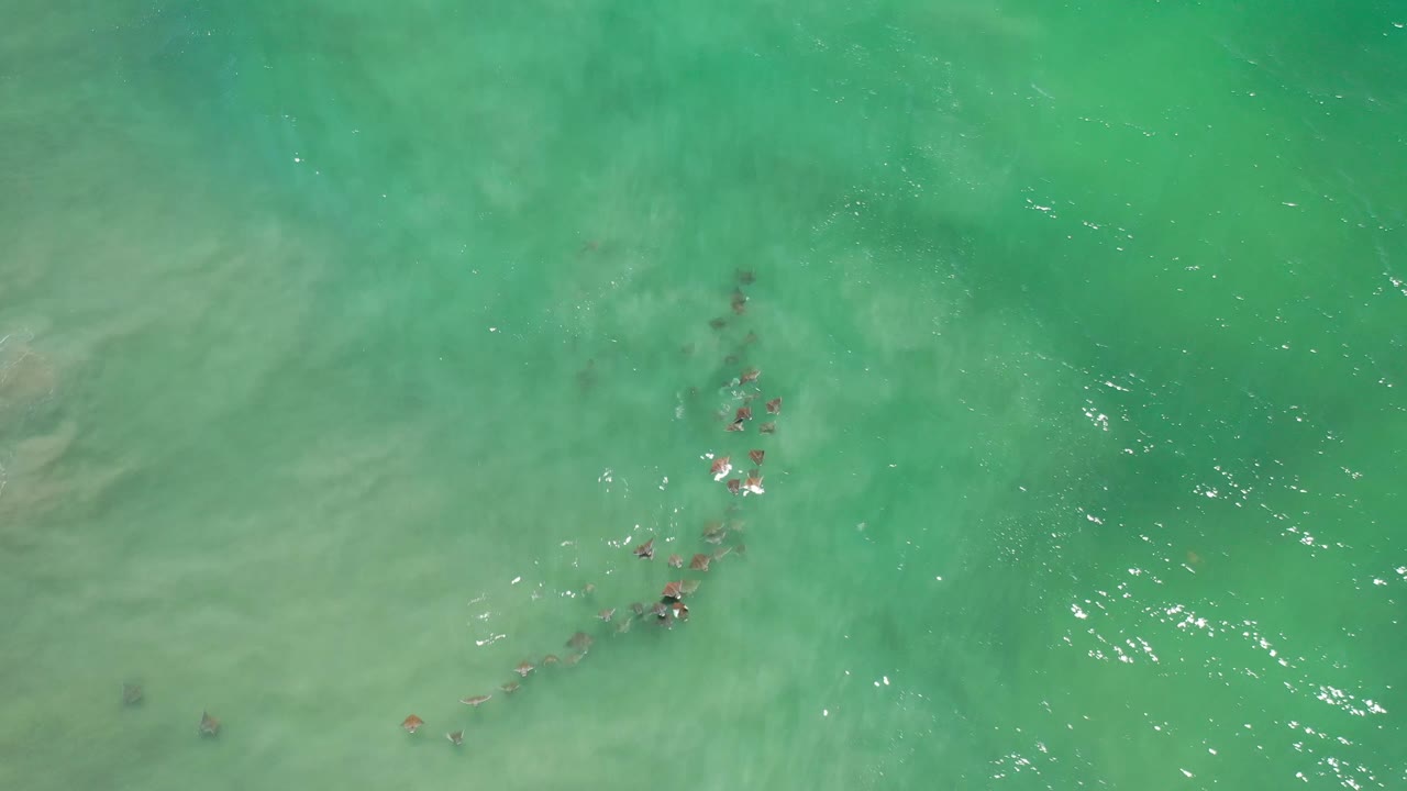 A diagonal chain of small fish sits near the center of clear green Los Cabos water, with bright surface flecks to the right and no visible people.