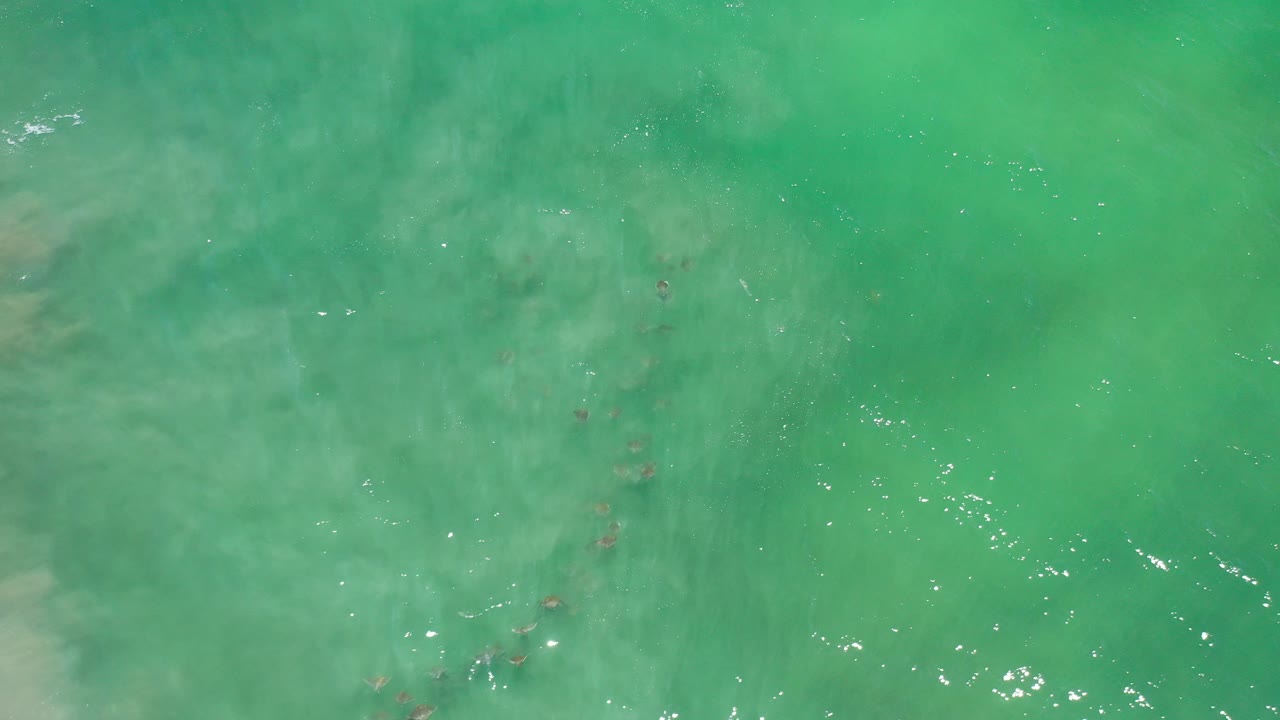 Overhead view in Los Cabos, Mexico of small fish faintly visible beneath green-blue water with sandy bottom texture and no visible people.
