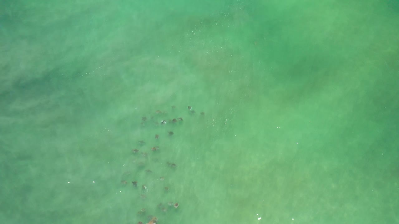 Overhead view of green-blue ocean water in Los Cabos, Mexico, with scattered darker reef-like patches near the left side and no visible people.