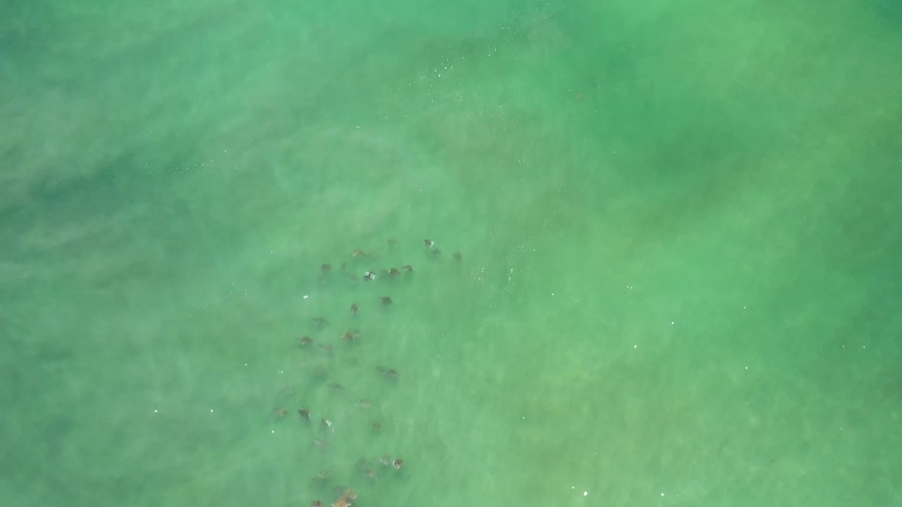 High overhead Los Cabos ocean frame with green water, a central cluster of darker submerged rock or reef marks, and no visible people.