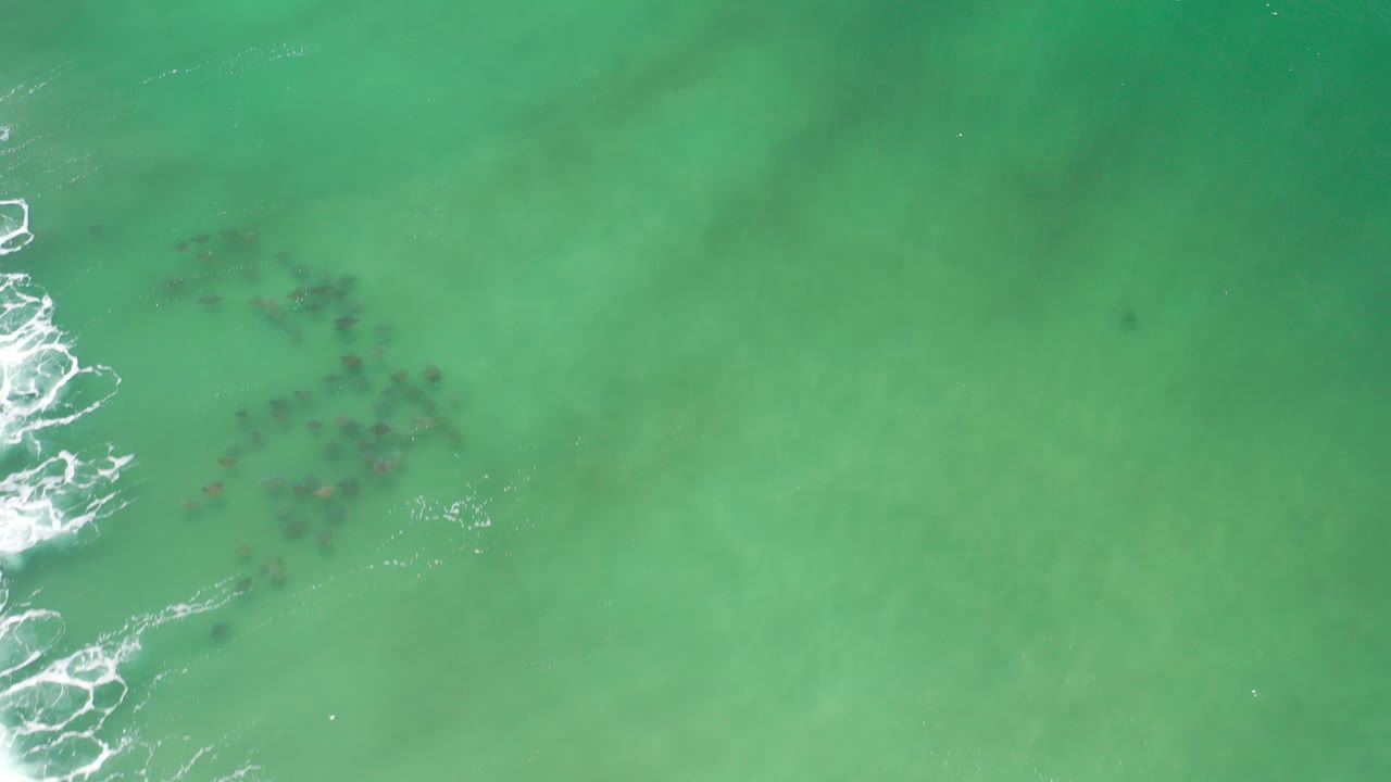 Overhead view of aqua ocean in Los Cabos, Mexico, with white foam entering from the left edge and a dark cluster of fish-like marine life below the surface, no visible people.