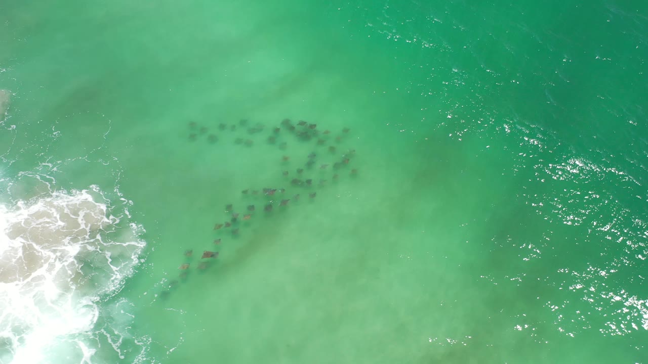 Overhead Los Cabos shoreline frame with white water pushing in from the left edge and a loose fish school visible through cloudy green shallows, no visible people.