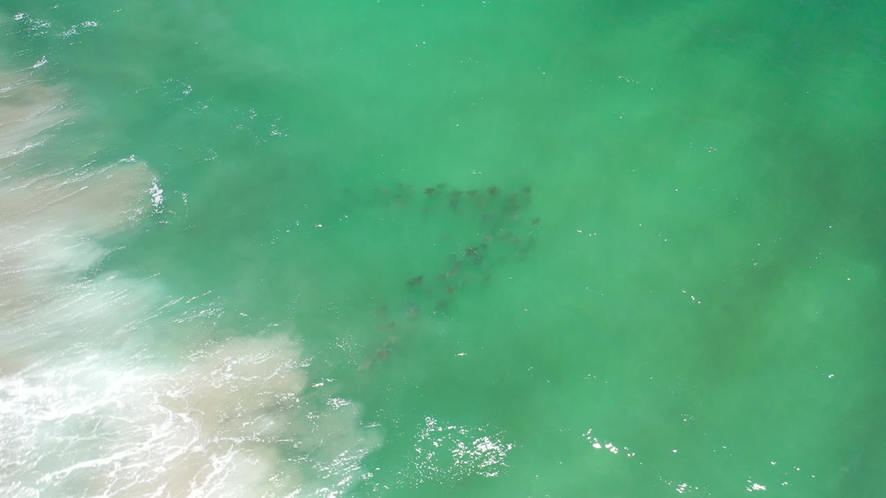 Overhead view of teal ocean water in Los Cabos, Mexico, with white surf along the left edge, a faint cluster of fish under the surface near center, and no visible people.
