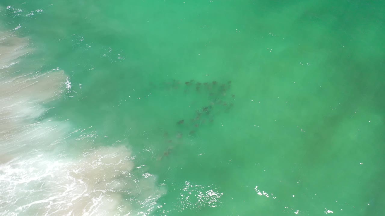 Aerial-looking frame over Los Cabos teal water with foamy surf pushing in from the left, scattered dark fish below the surface, and no visible people.