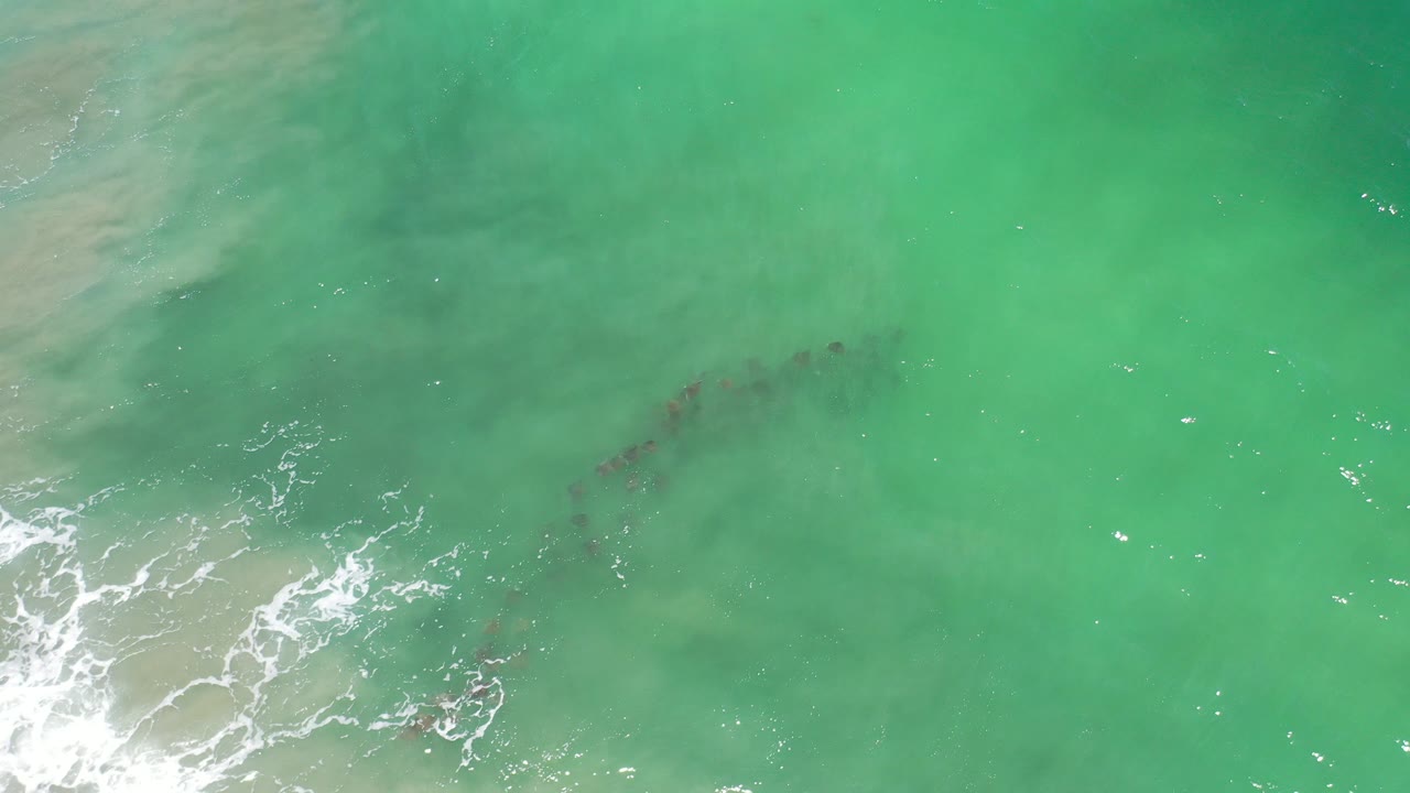 Opening overhead frame in Los Cabos, Mexico showing green-turquoise water, white foam at lower left, and a faint dark line of fish beneath the surface with no visible people.