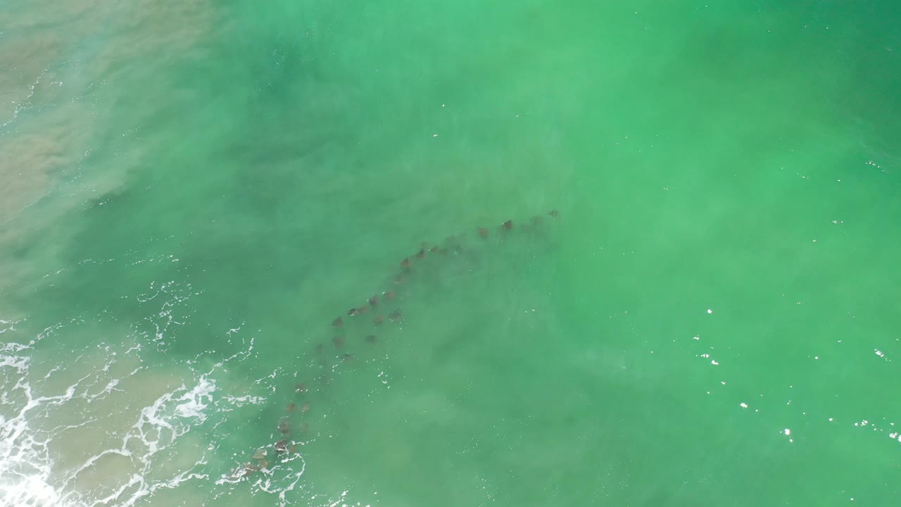 Overhead frame from Los Cabos, Mexico showing a darker fish trail extending diagonally through bright green water, with soft sandy haze and broken surf at the lower left, no visible people.