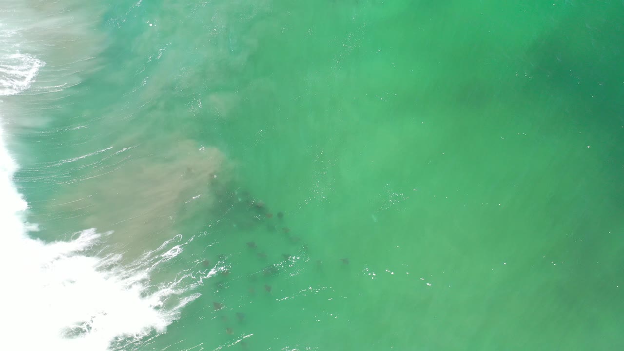 Turquoise ocean water with white surf and dark fish shapes below