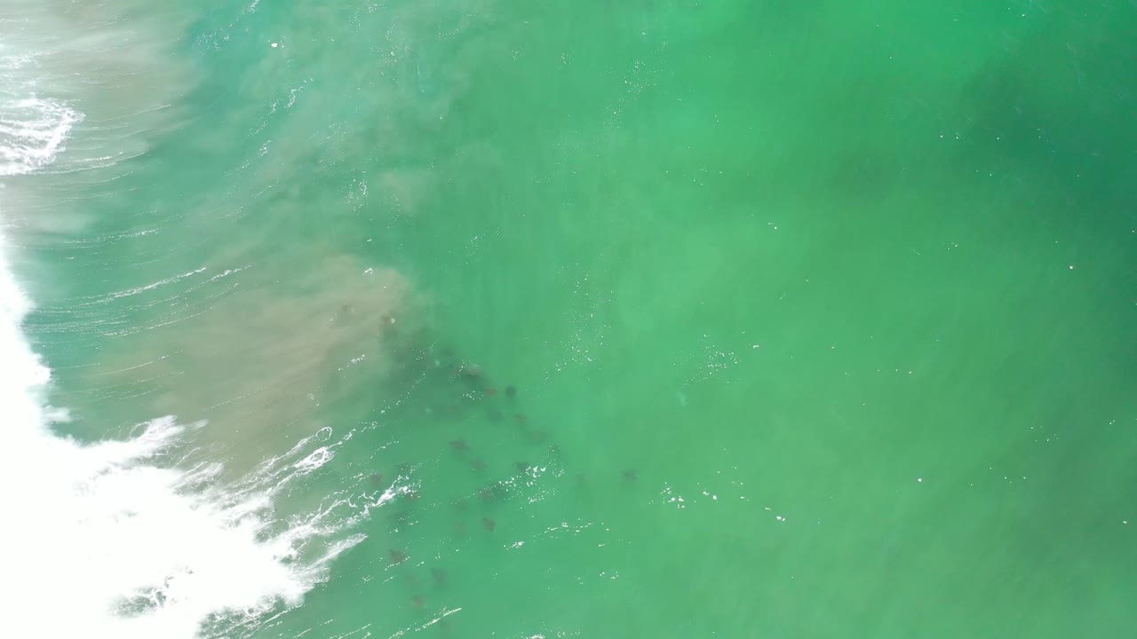 Overhead Los Cabos sea view with white foam pushing in from the left, green-blue water, a pale sandy patch, dark fish shapes beneath the surface, and no visible people.