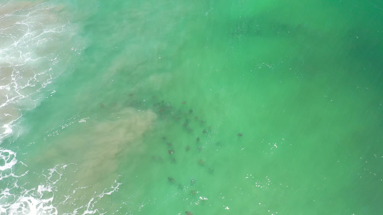 Overhead green ocean water with white surf and dark shapes below the surface.