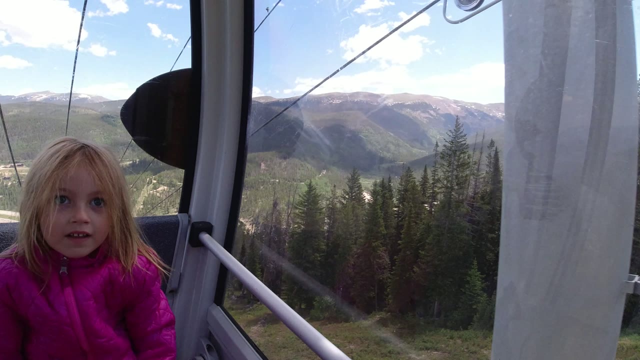 Young girl in a pink jacket inside a gondola with mountains and trees outside.
