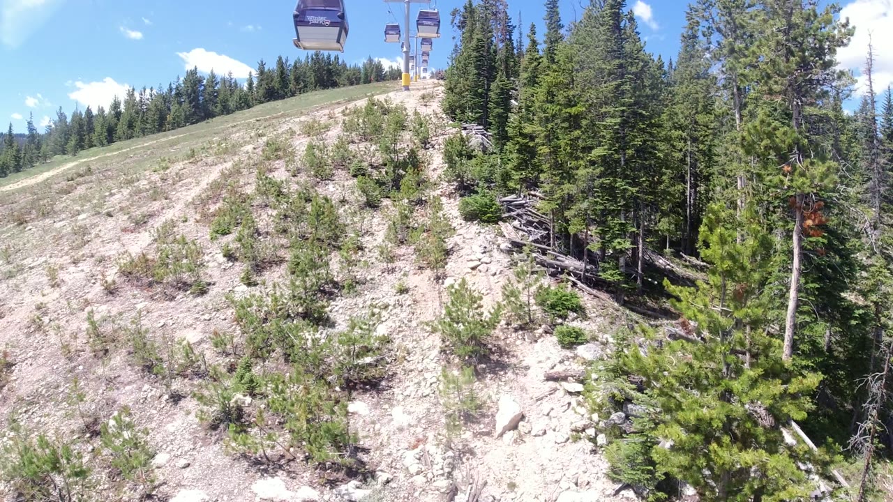 In Winter Park, Colorado, the hillside fills the foreground while evergreen trees frame the right side and gondola cabins appear along the upper cable with no visible people.