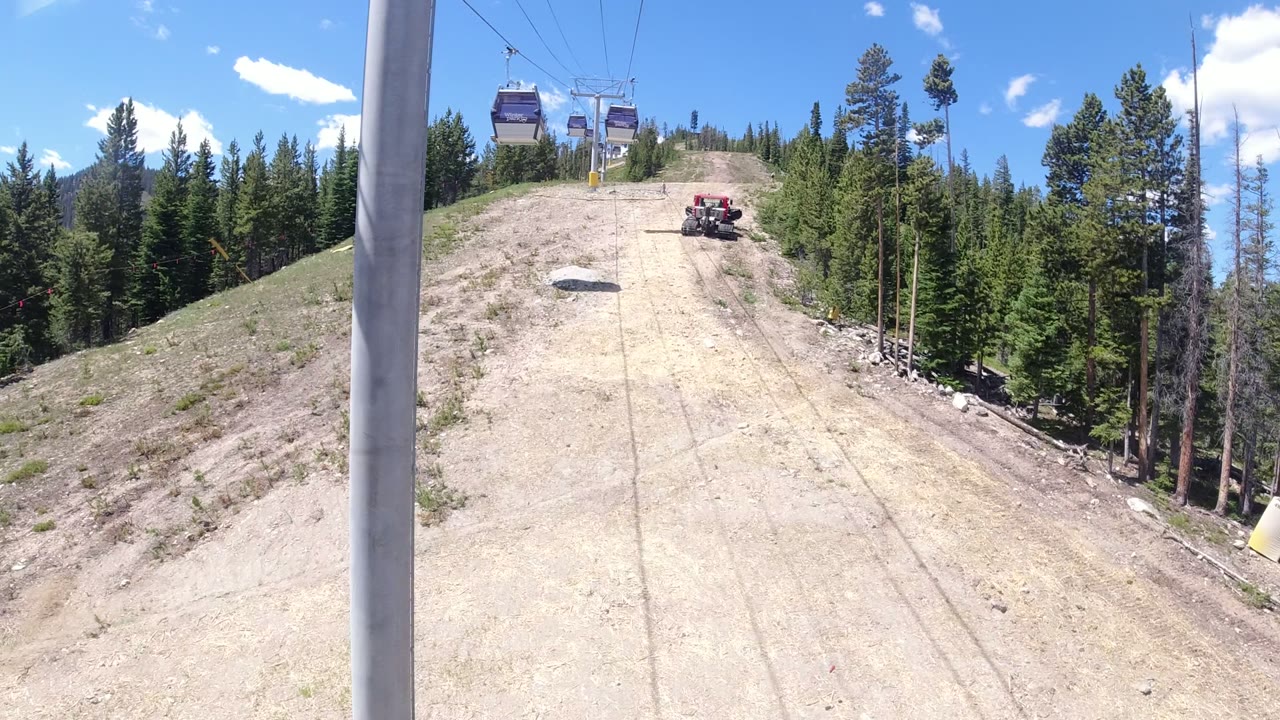 Gondola cabins above a cleared mountain slope with evergreen forest.