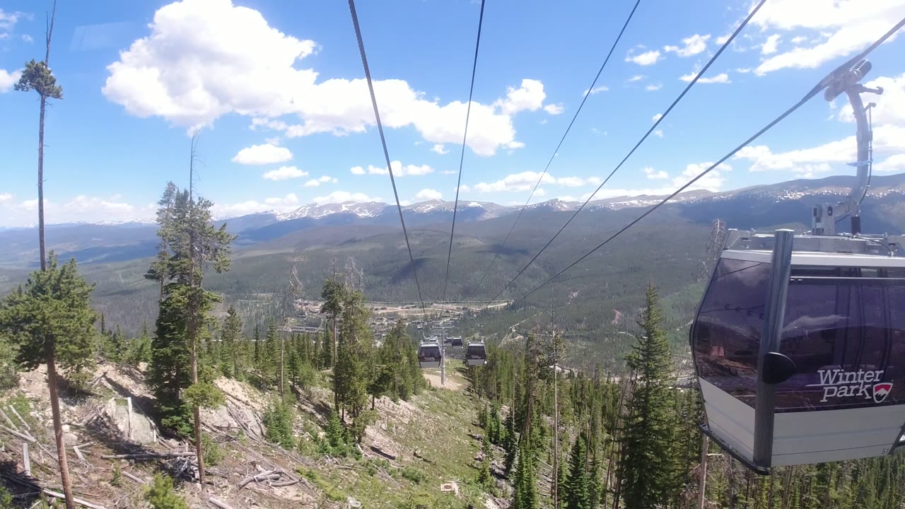 Gondola cabins on cables above a forested mountain slope.